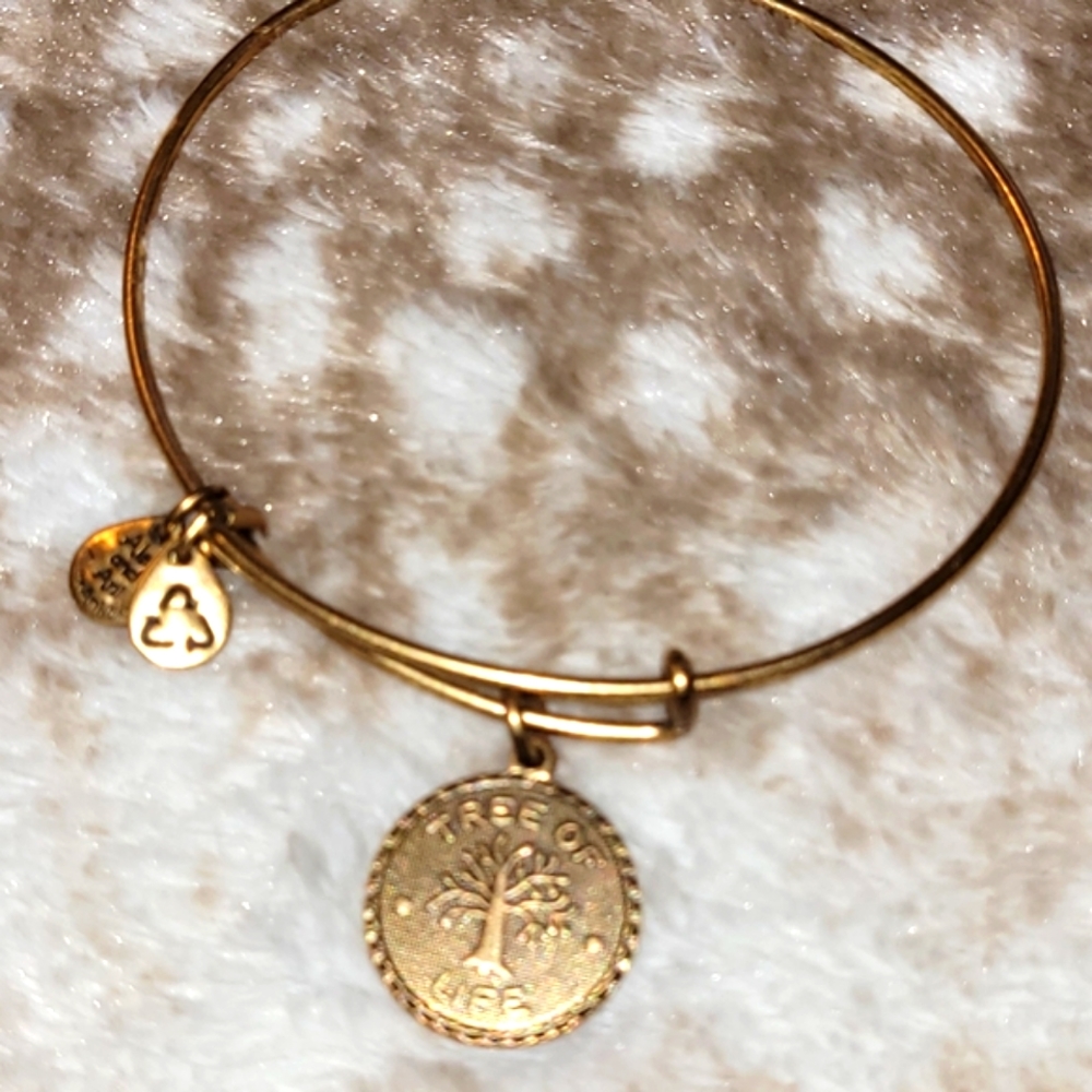 Alex and Ani Tree of Life Bracelet!